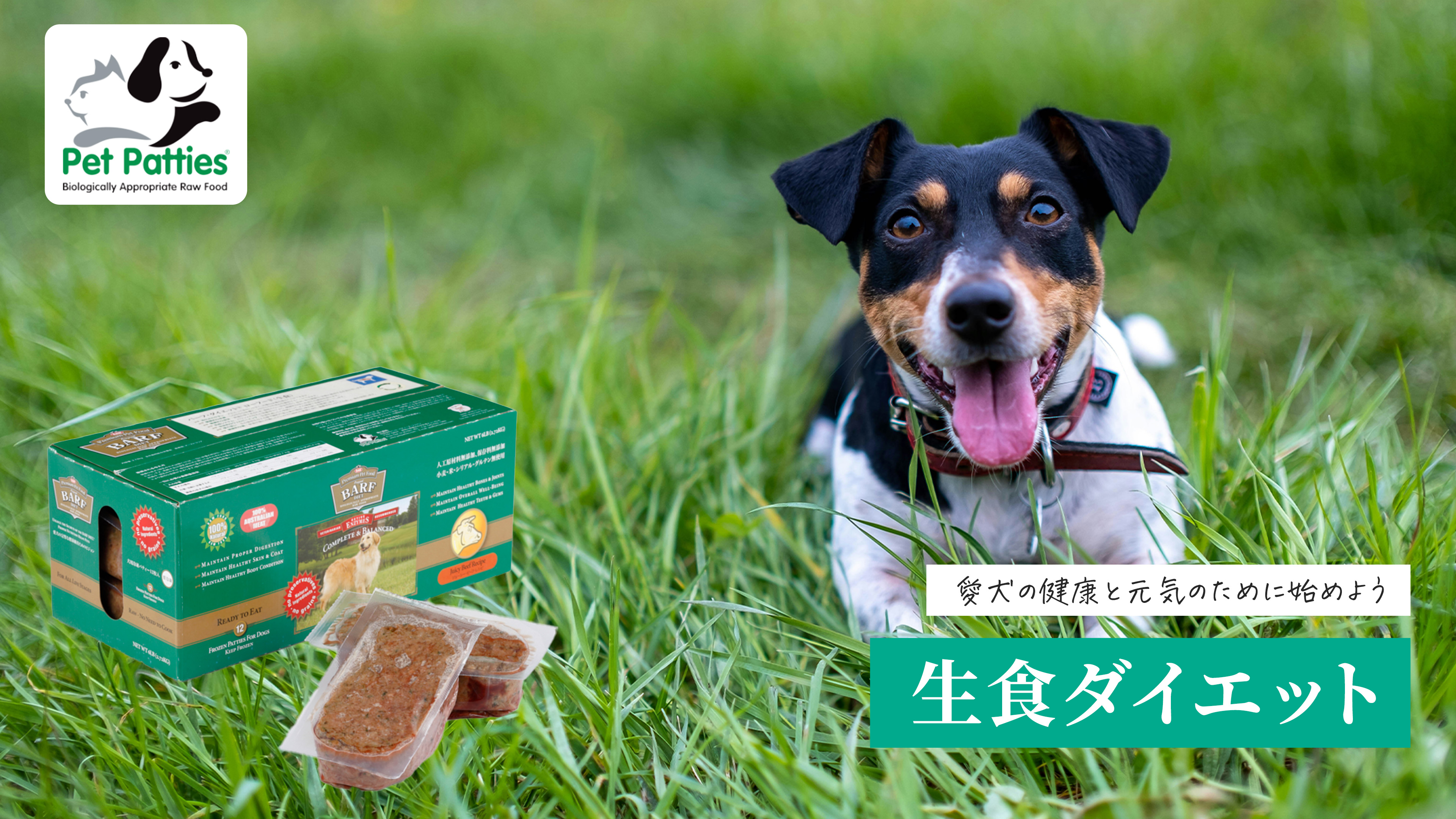 ペットパティース