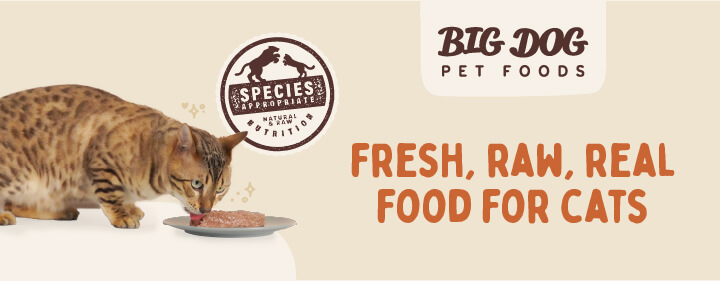 猫も生食ダイエットでヘルシーライフ