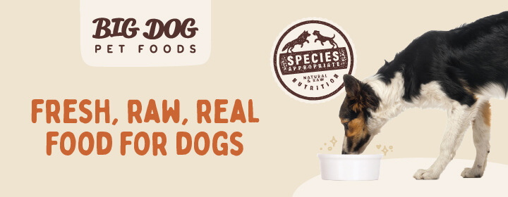 抜群の栄養バランス、ビッグドッグ