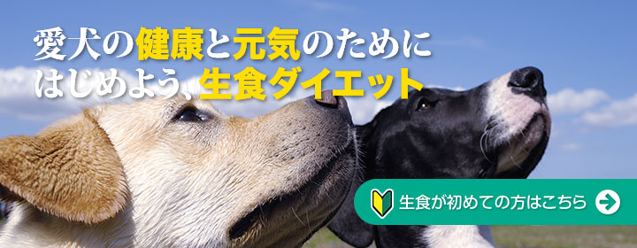 愛犬の元気と健康のためにはじめよう生食ダイエット